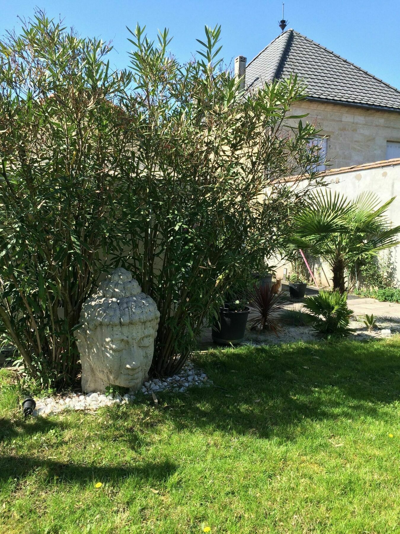 Hotel Loft Zen Bordeaux Exterior foto